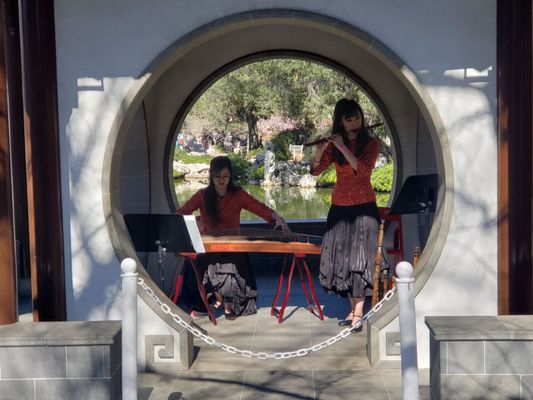 Dina’s Dumpling - Shrimp Dumplings | Pork Dumplings | Beef Dumplings | Chicken Dumplings by null