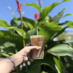 Audrey’s Coffee House & Lounge
