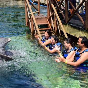 Xel-Há - Dolphin Experience - Amusement Parks Near Me - Tulum, ROO