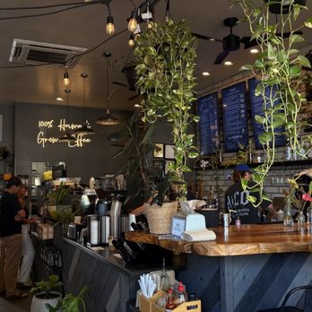 HiCO - Coffee & Tea Near Me - Kailua-Kona, Hawaii HiCO - Coffee & Tea Near Me - Kailua-Kona, Hawaii