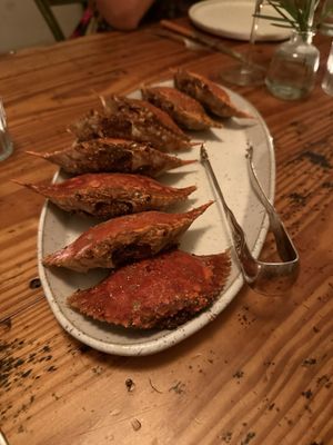 Mosquito Supper Club by null