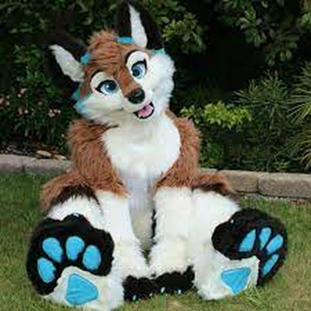a stuffed fox sitting in the grass a stuffed fox sitting in the grass