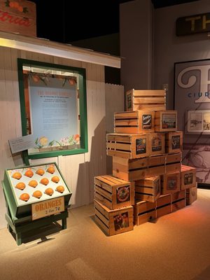 Tampa Bay History Center by null