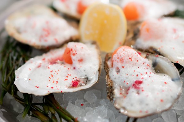 Ponte Modern American by null