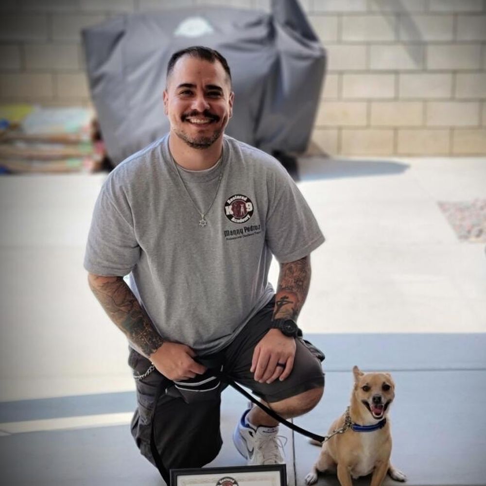 Restored k-9 Academy - Oliver's graduation photo - Pet Training Near Me Restored k-9 Academy - Oliver's graduation photo - Pet Training Near Me