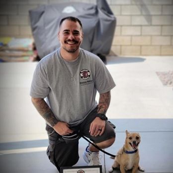 Restored k-9 Academy - Oliver's graduation photo - Pet Training Near Me Restored k-9 Academy - Oliver's graduation photo - Pet Training Near Me