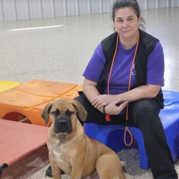 K-9 Compliance - Pet Training Near Me - Toney, Alabama