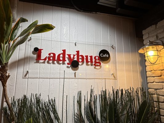 Ladybug Café by null