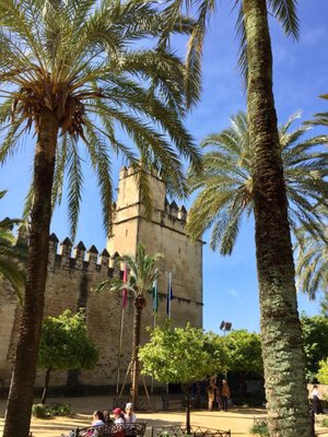 Alcázar de los Reyes Cristianos by null
