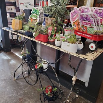 Little Red Wagon Native Nursery - Indoor gift shop for gardeners - Gift Shops Near Me - Tampa, Florida Little Red Wagon Native Nursery - Indoor gift shop for gardeners - Gift Shops Near Me - Tampa, Florida