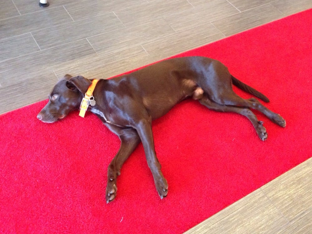 BIG TOP SHIRTS 2718 E Fowler Ave, Tampa, Florida Screen Printing/T