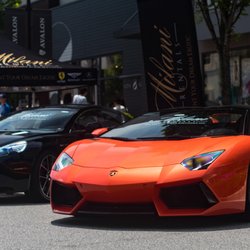 Milani Exotic Car Rental