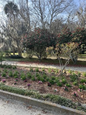 Hampton Park by null