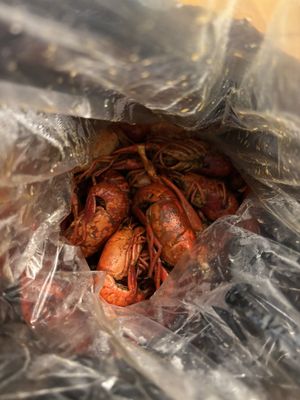 Big EZ Seafood by null