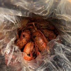 Big EZ Seafood - Traditional boiled crawfish