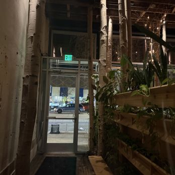 La Forêt - Aspen trees from floor to ceiling abound. - Cocktail Bars Near Me - Denver, Colorado