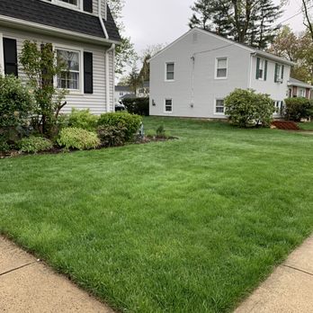 The Giving Tree - We've been with Giving Tree for 2 seasons and are very pleased with the service. - Landscaping Near Me - Hamden, Connecticut The Giving Tree - We've been with Giving Tree for 2 seasons and are very pleased with the service. - Landscaping Near Me - Hamden, Connecticut