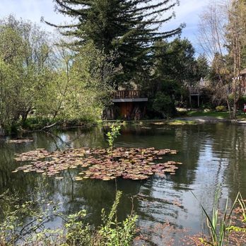 Fieldbrook Winery - A view from the other side of the pond - Wineries Near Me - McKinleyville, California