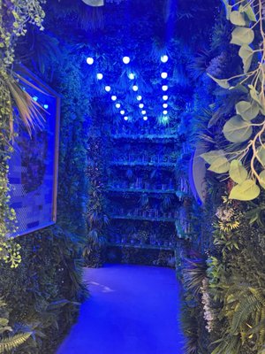 Greenhouse Café at Seed Brklyn by null