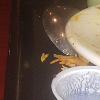 Deccan Grill - When i went there I was waiting for my order like 30 minutes and no one showed up ...with bunch of bugs in it - Indian Near Me - Irving, Texas