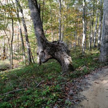 Brown County State Park - Hiking Near Me - Nashville, Indiana Brown County State Park - Hiking Near Me - Nashville, Indiana