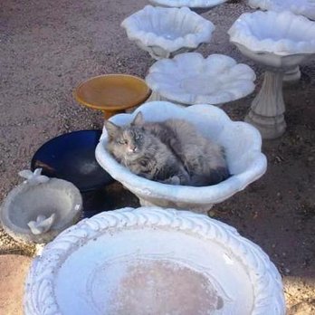 Potteryland - untitled - Home Decor Near Me - Albuquerque, New Mexico