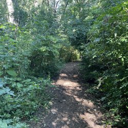Sleepy Hollow Park - Walking path