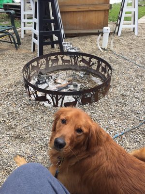 a bark above mobile pet grooming