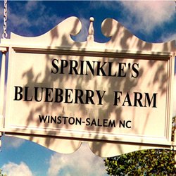 Sprinkle's Blueberry Farm