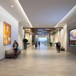 Classical Therapy - Main Lobby
