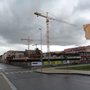 Photo of Sedmikráska