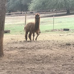 Long Dream Farm