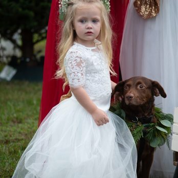 FairyTail Pet Care - Pet Sitting Near Me - Tampa, Florida FairyTail Pet Care - Pet Sitting Near Me - Tampa, Florida