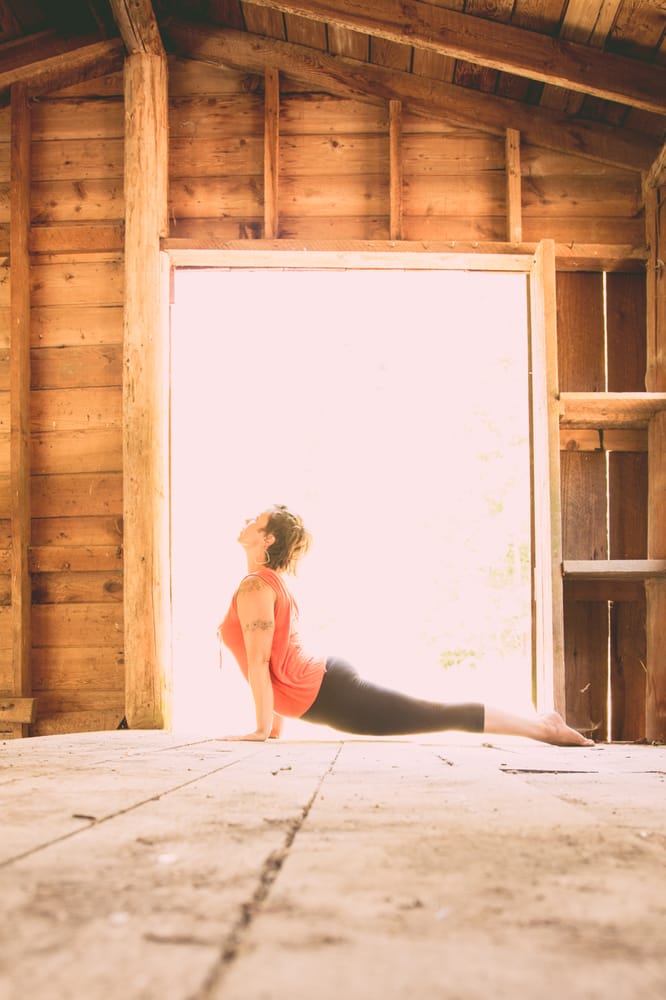 The Nest Hot Yoga Logo