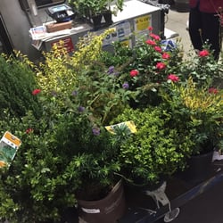 Lowe's Home Improvement - Time to work!