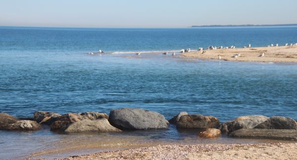 Crab Meadow Beach by null