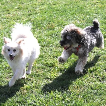 Wardlaw Dog Park - Dog Parks Near Me - Vallejo, California