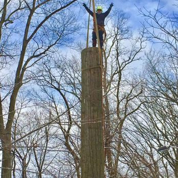 Beaman's Tree Service - Tree Services Near Me