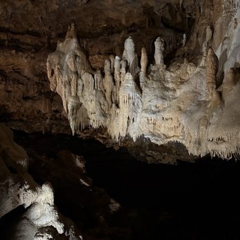 Inner Space Cavern - Tours Near Me - Georgetown, Texas Inner Space Cavern - Tours Near Me - Georgetown, Texas