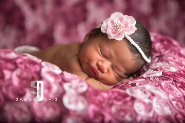 Sandy Davis Photography