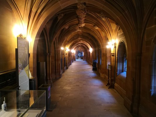 John Rylands Research Institute and Library by null