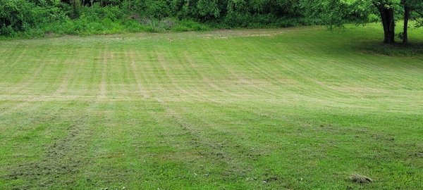 Lawn, Landscape, and Maintenance - Whether you need your lawn maintenanced, Mulch , removal of brush or installation of new bushes and beds. We are your go to for services.