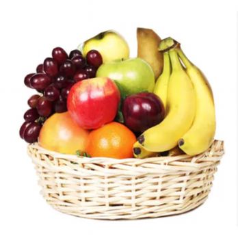 Plant Depot - 5167666663 Fruit Baskets Florist Cut and Potted Flowers We Deliver Oceanside NY 11572 - Florists Near Me - Oceanside, New York Plant Depot - 5167666663 Fruit Baskets Florist Cut and Potted Flowers We Deliver Oceanside NY 11572 - Florists Near Me - Oceanside, New York