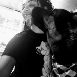 Kizzys Mobile Grooming