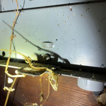 Atkinson's Home Inspections - Home Inspectors Near Me Atkinson's Home Inspections - Home Inspectors Near Me