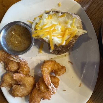 Outback Steakhouse - Gold Coast Coconut Shrimp, lunch size portion - Steakhouses Near Me - Springdale, Arkansas Outback Steakhouse - Gold Coast Coconut Shrimp, lunch size portion - Steakhouses Near Me - Springdale, Arkansas