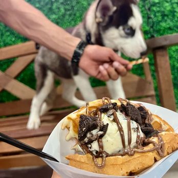 Dessert Lab - a waffle with ice cream and chocolate sauce - Ice Cream & Frozen Yogurt Near Me - Richardson, Texas Dessert Lab - a waffle with ice cream and chocolate sauce - Ice Cream & Frozen Yogurt Near Me - Richardson, Texas