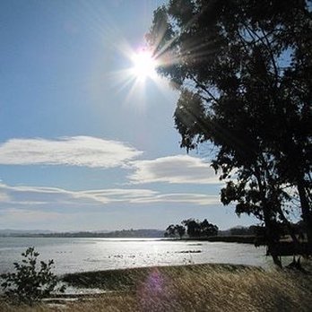 Point Isabel Regional Shoreline - - Dog Parks Near Me - Richmond, California Point Isabel Regional Shoreline - - Dog Parks Near Me - Richmond, California