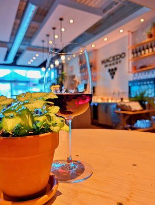 Macedo Winery by null