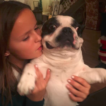 Bay Area Bulldogs - Payton & Boomer - Pet Breeders Near Me Bay Area Bulldogs - Payton & Boomer - Pet Breeders Near Me